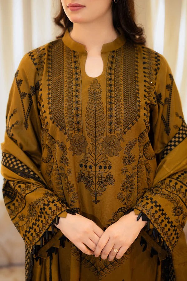 Embroidered salwar suit